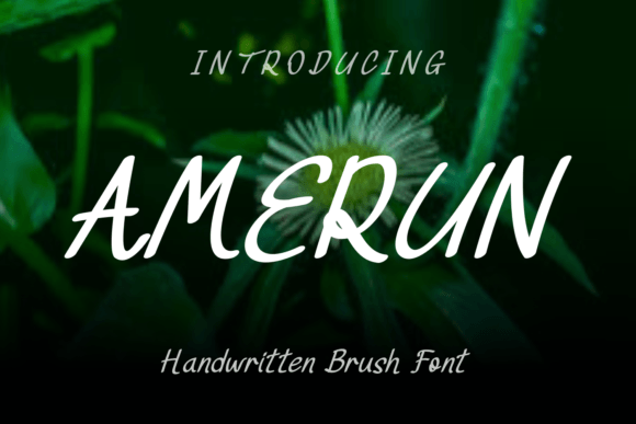 Amerun: A Handwritten Font for Modern Editorial Design