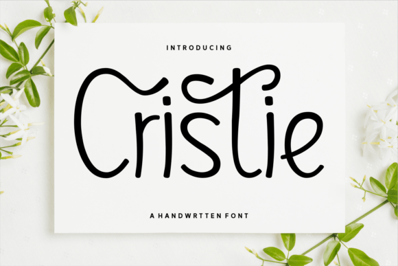 Choosing Cristie for a Modern Web Design Project