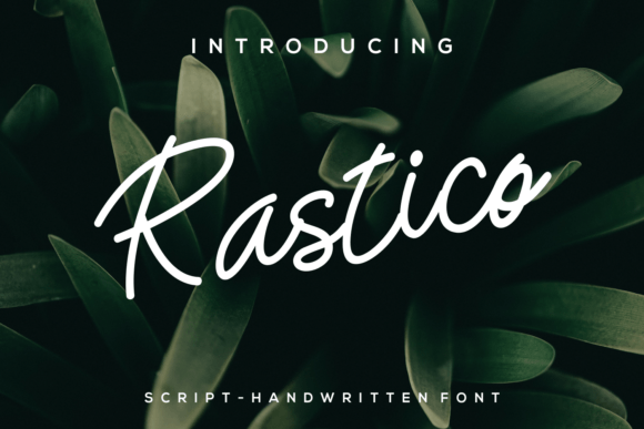 How Rastico Transformed My Brand’s Visual Identity