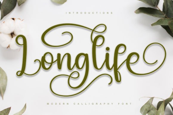 Longlife Font: A Handwritten Elegance for Web Design