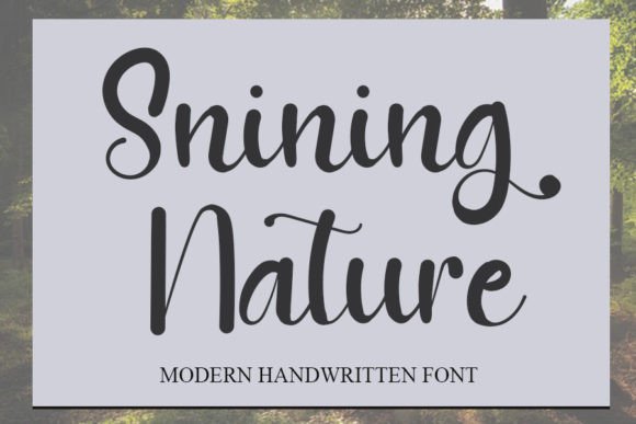 Shining Nature Typeface Review for Modern Web Design
